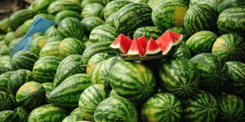 兽餐1西瓜在线观看,一场惊心动魄的冒险之旅 第1张 兽餐1西瓜在线观看,一场惊心动魄的冒险之旅 第1张