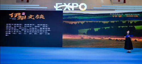 伊犁文旅局爆料新闻最新,探寻神秘古丝绸之路的瑰宝之旅  第2张